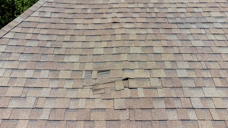 Asphalt Roof Inspection in Fleetwood, PA