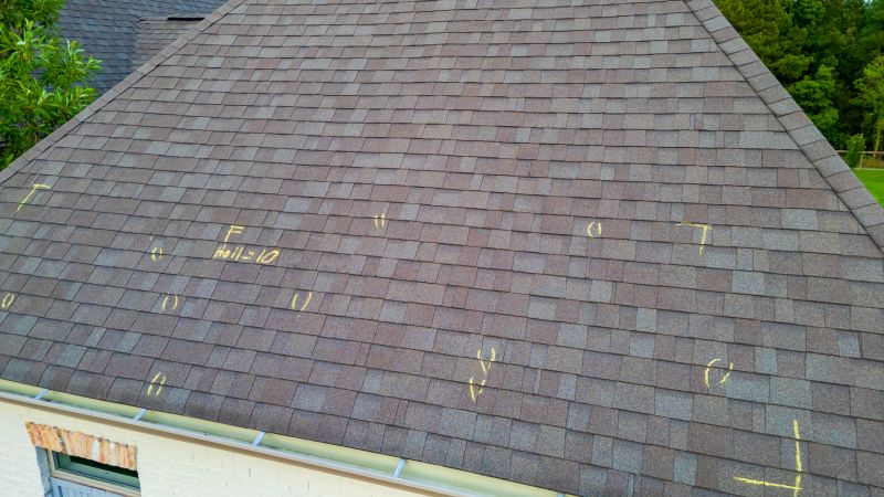 Asphalt Roof Inspection in Mohnton, PA