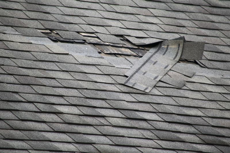 Asphalt Roof Leak Repair in Berks County, PA
