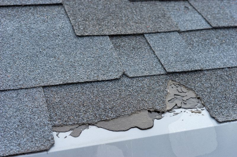 Damaged Roof Repair in Pottstown, PA