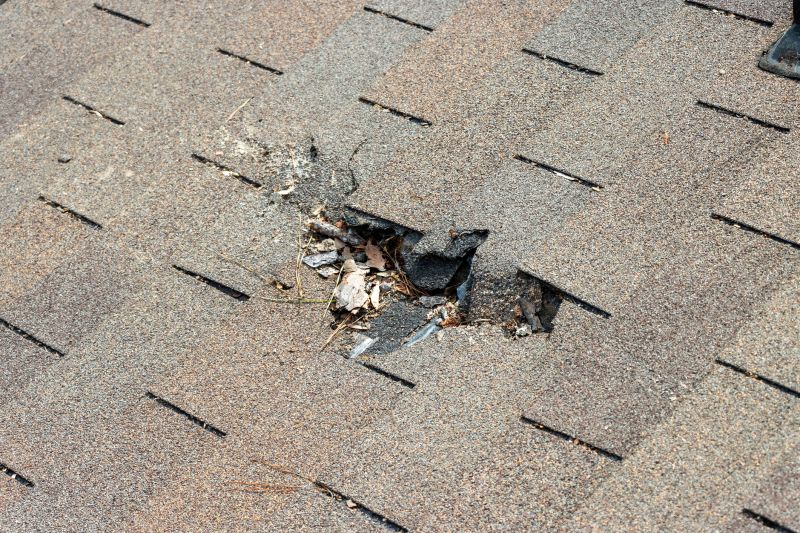 Damaged Roof Replacement in Schuylkill Haven, PA