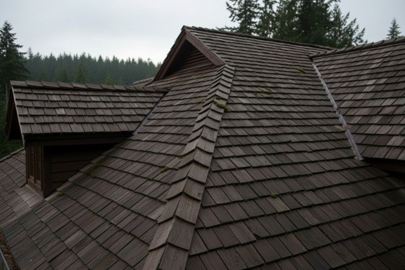 Wood Shake Roof Replacement in Reinholds, PA